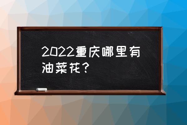 潼南油菜花节2020 2022重庆哪里有油菜花？