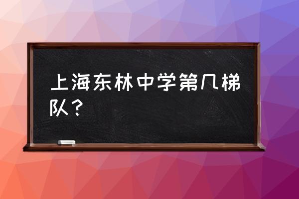 东林中学排名 上海东林中学第几梯队？