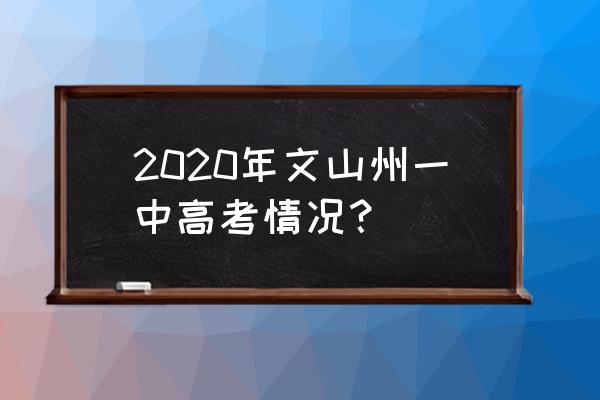 文山市第一中学 2020 2020年文山州一中高考情况？