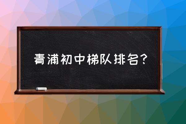 青浦区实验中学老师 青浦初中梯队排名？