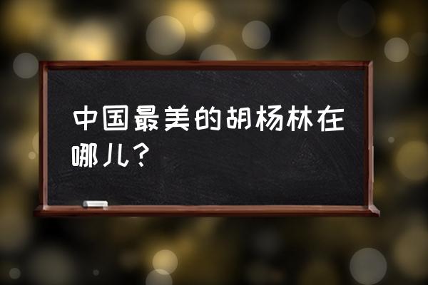 哪里的胡杨林最出名 中国最美的胡杨林在哪儿？