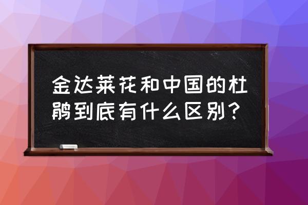 迎红杜鹃别称 金达莱花和中国的杜鹃到底有什么区别？