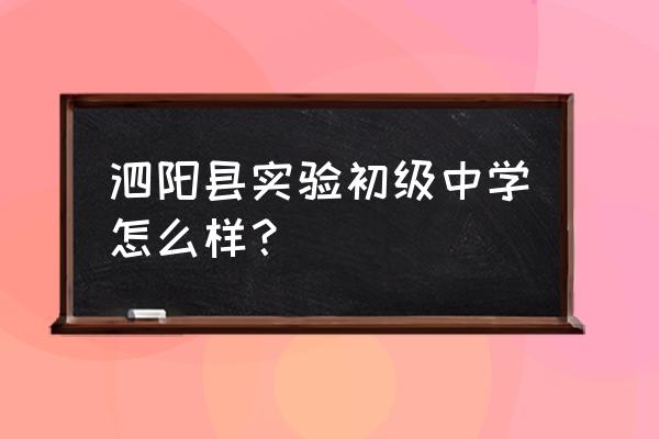 泗阳县实验初级中学分校 泗阳县实验初级中学怎么样？